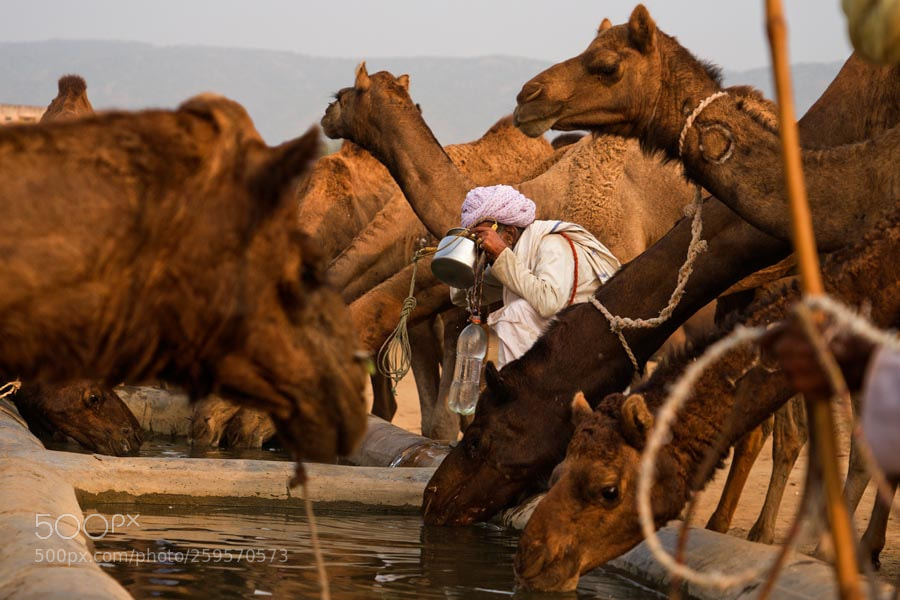 Sony a7 sample photo. Pushkar mela. rajasthan photography