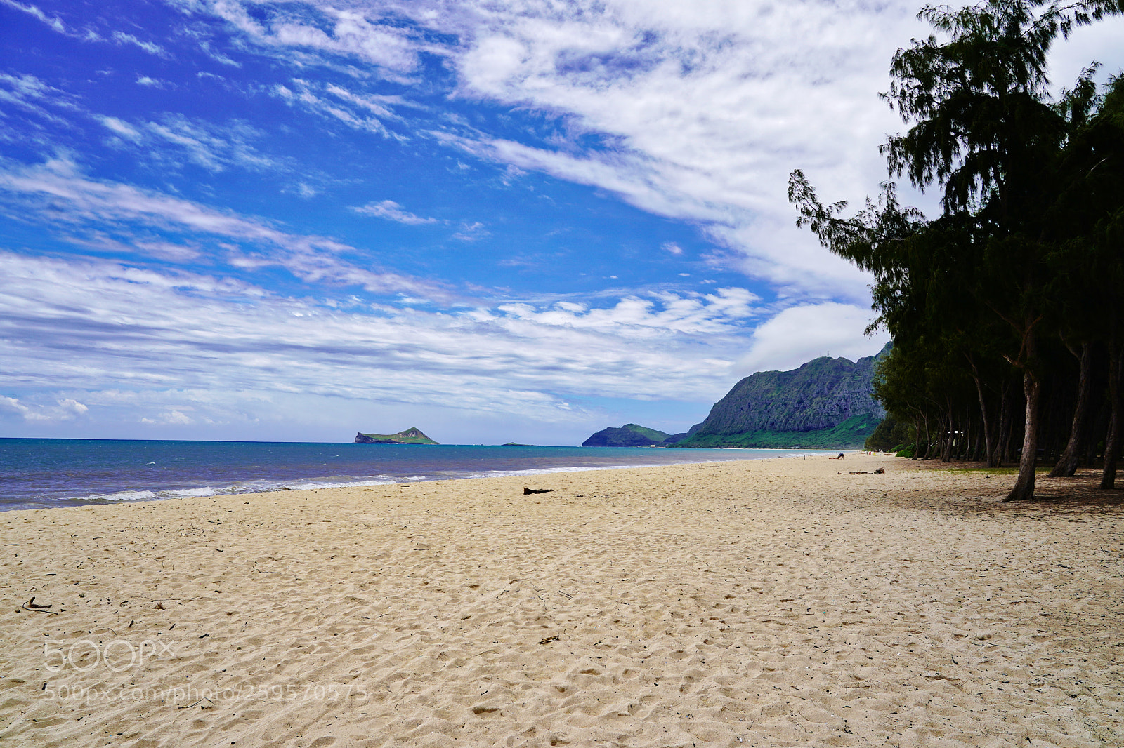 Sony a9 sample photo. I want you to photography