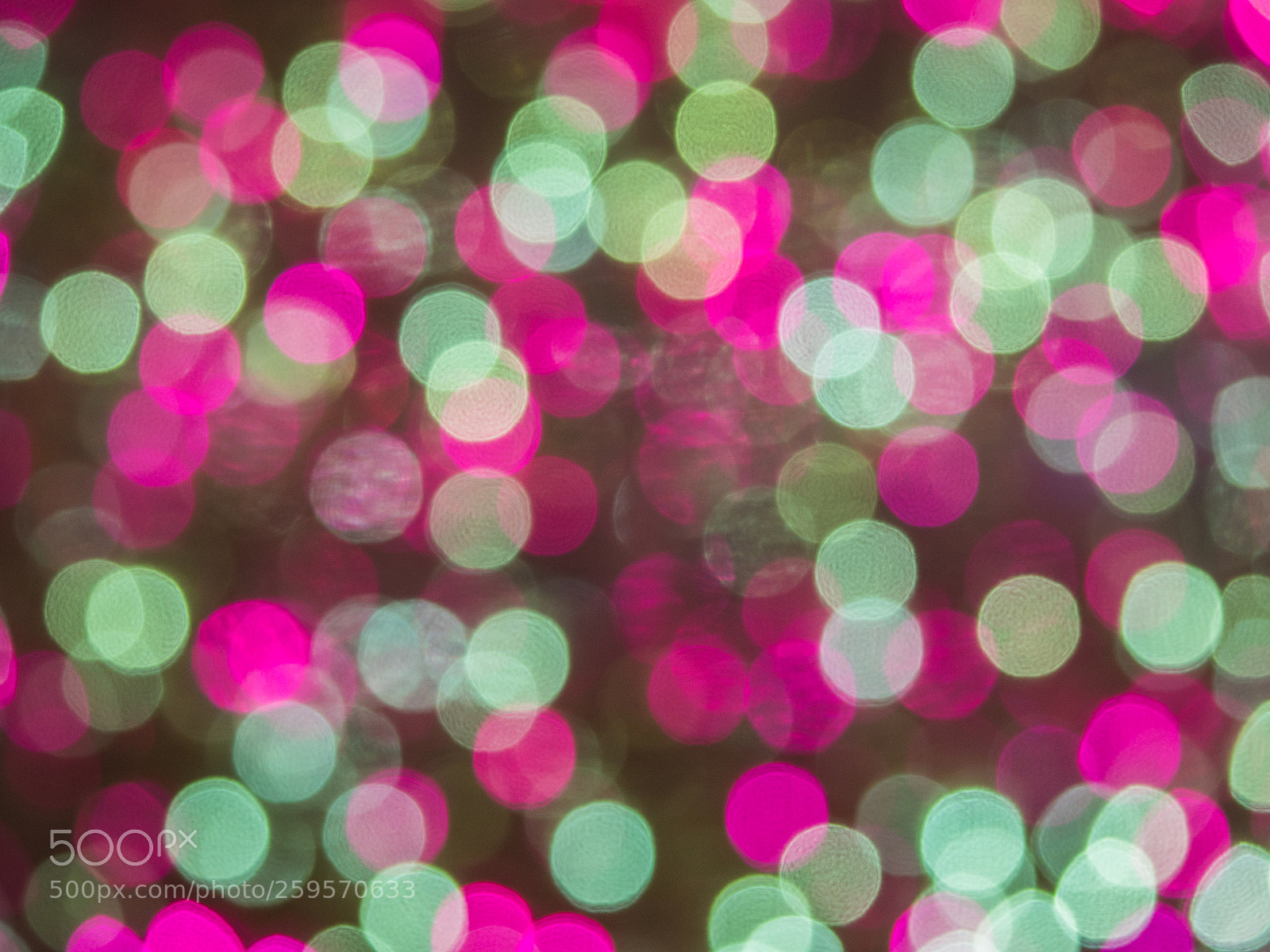 Olympus OM-D E-M5 II sample photo. Bokeh and flare of photography