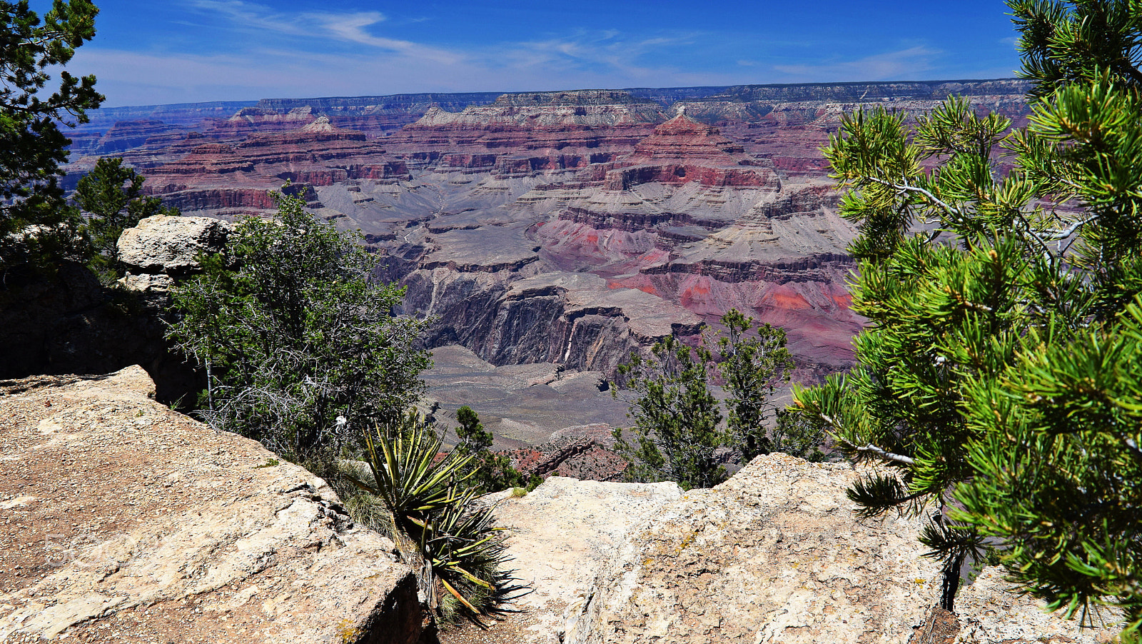 Nikon D5300 sample photo. Life finds a foothold photography