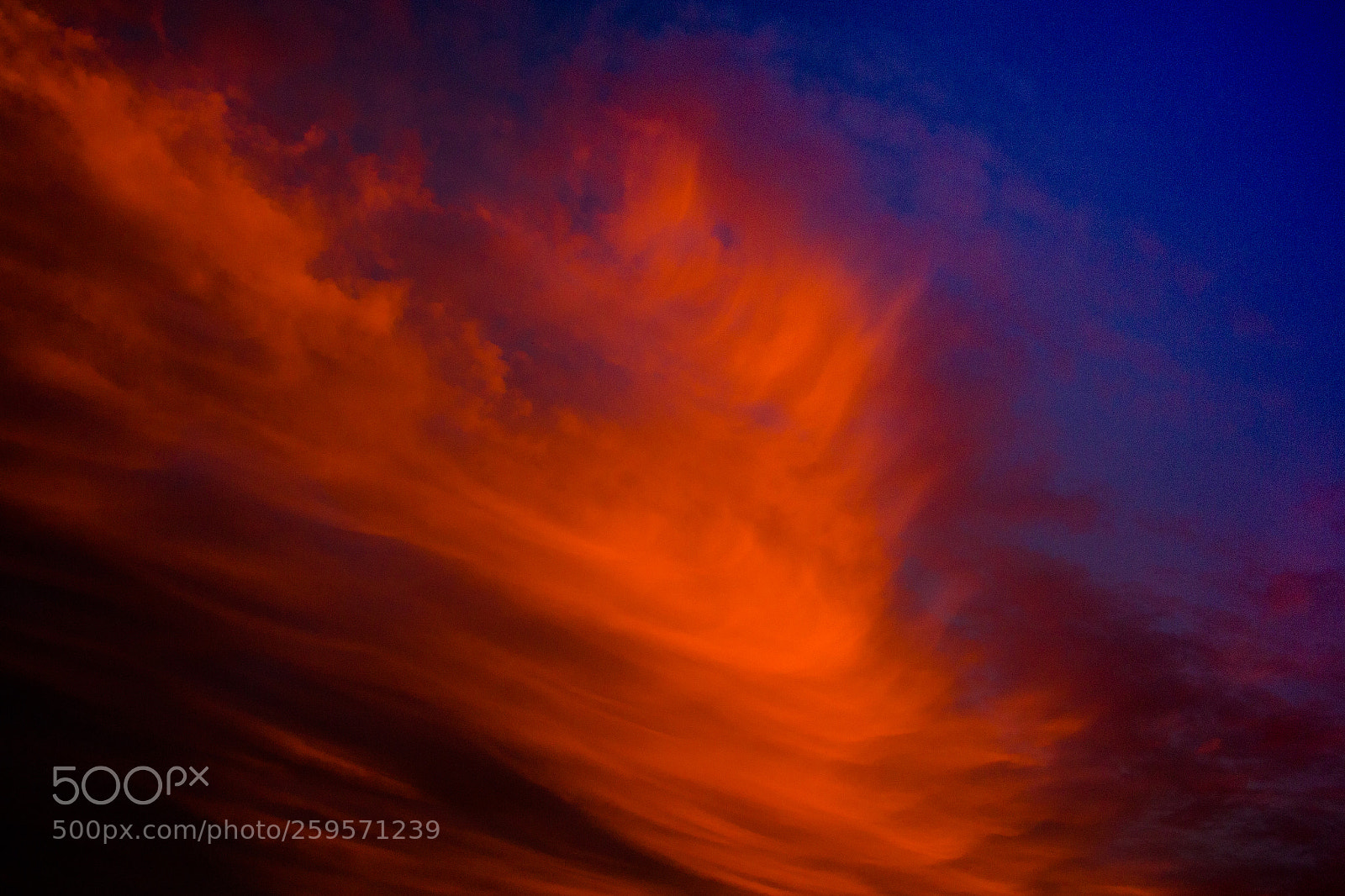 Canon EOS 700D (EOS Rebel T5i / EOS Kiss X7i) sample photo. Red and blue sky photography