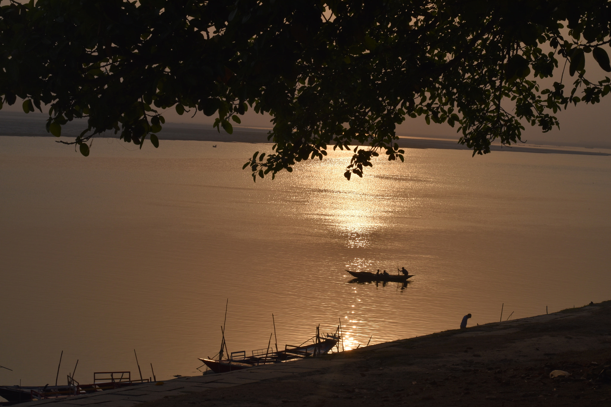 Nikon D5500 + Nikon AF-S Nikkor 50mm F1.8G sample photo. Evening nature.jpg photography