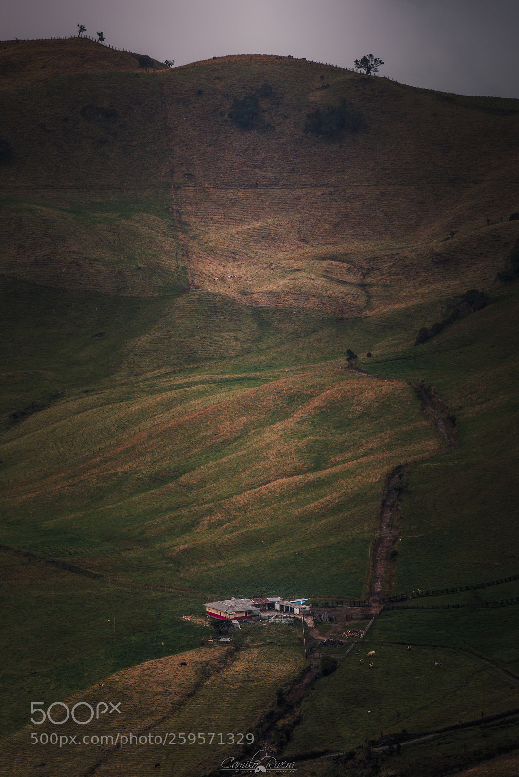 Nikon D810 sample photo. Singular places photography