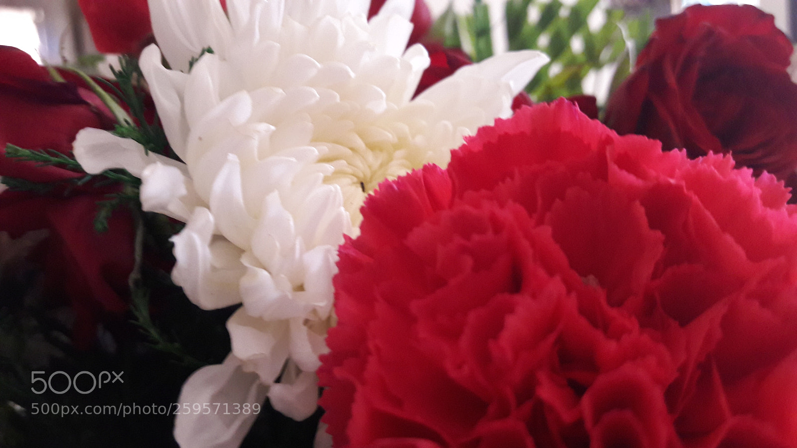 Samsung Galaxy J7 sample photo. Love for flowers.. photography