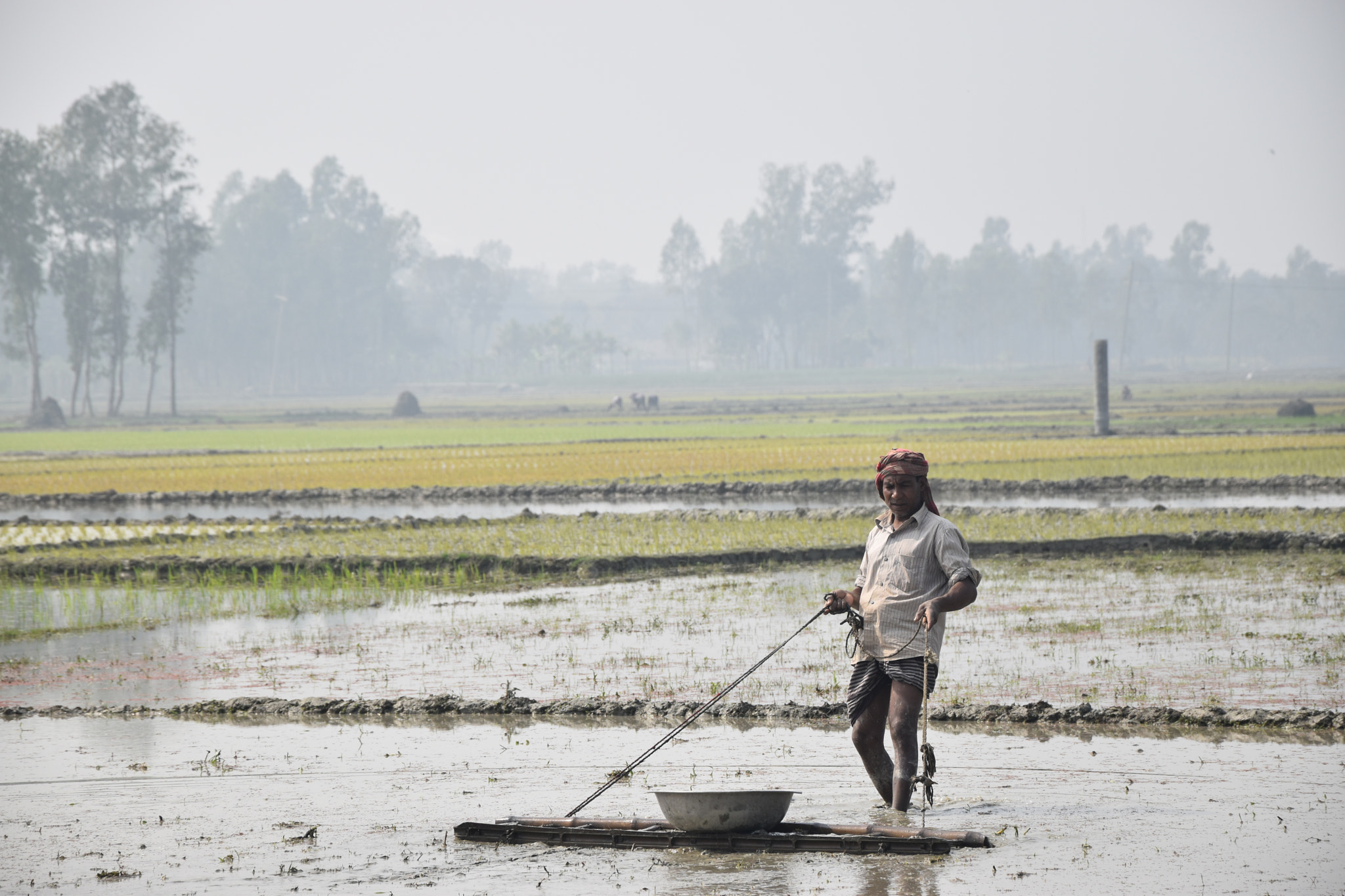 Nikon D5500 sample photo. Rural field photography