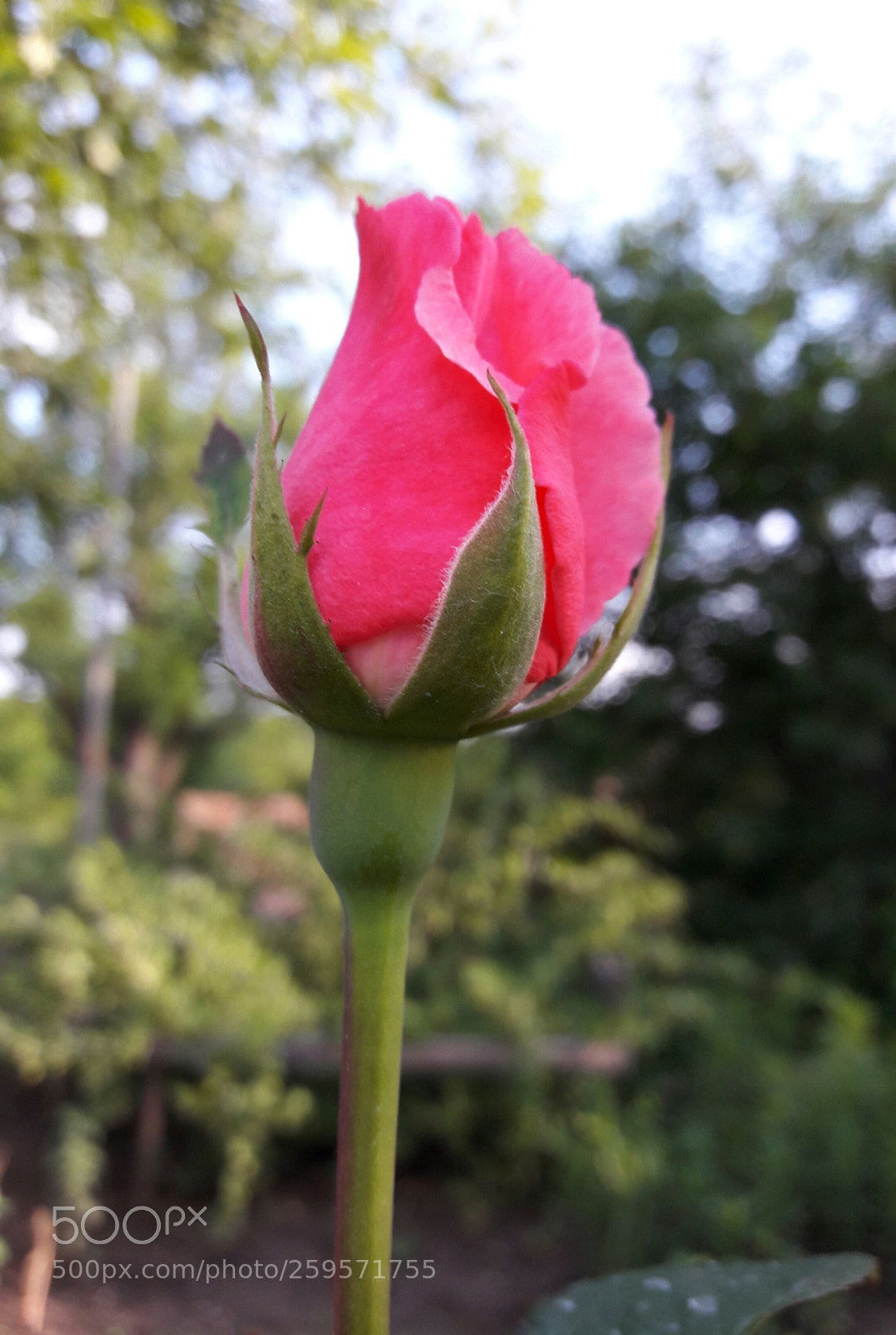 Samsung Galaxy J7 sample photo. Torch... photography