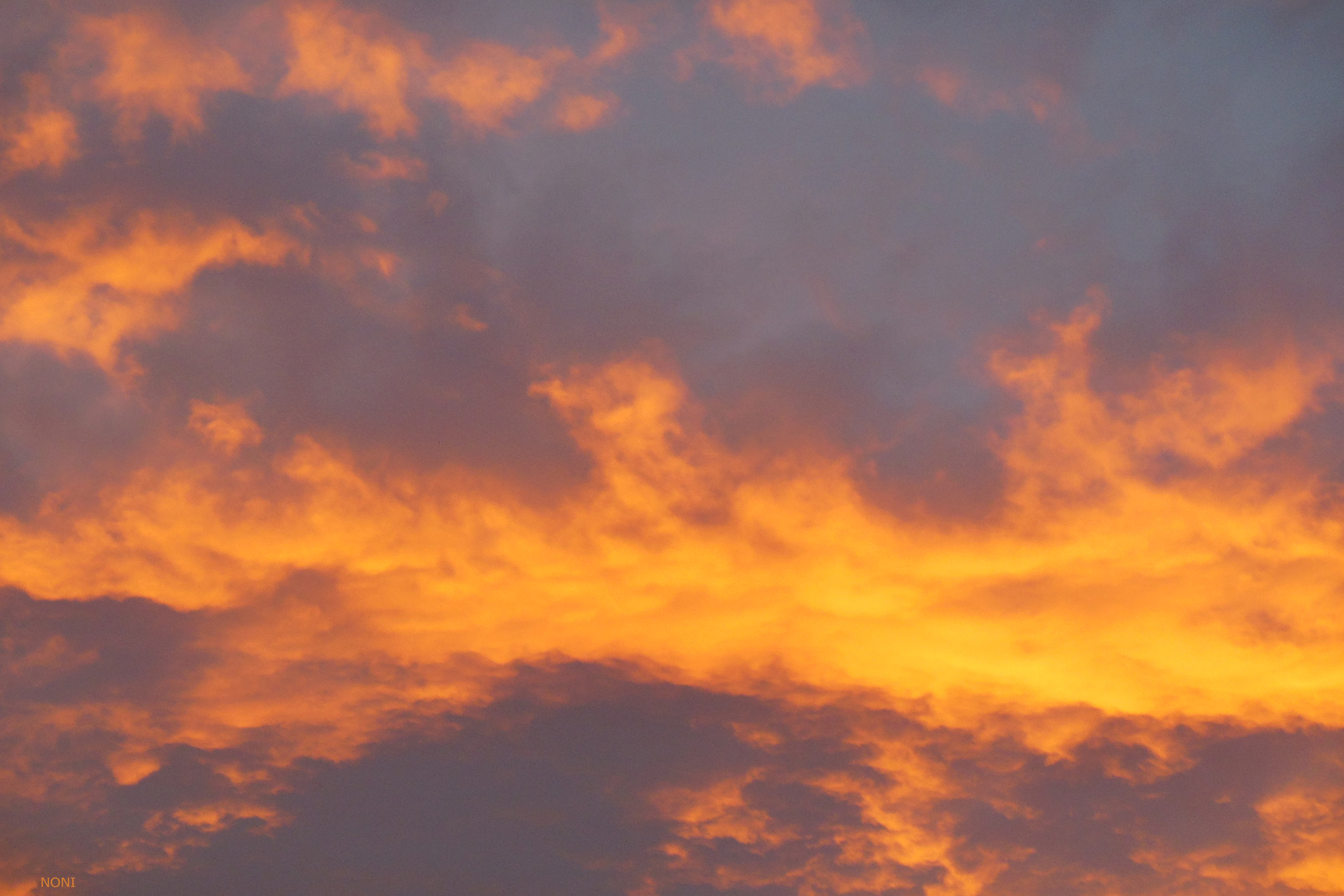 Nikon Coolpix S6300 sample photo. La tarde 58 photography