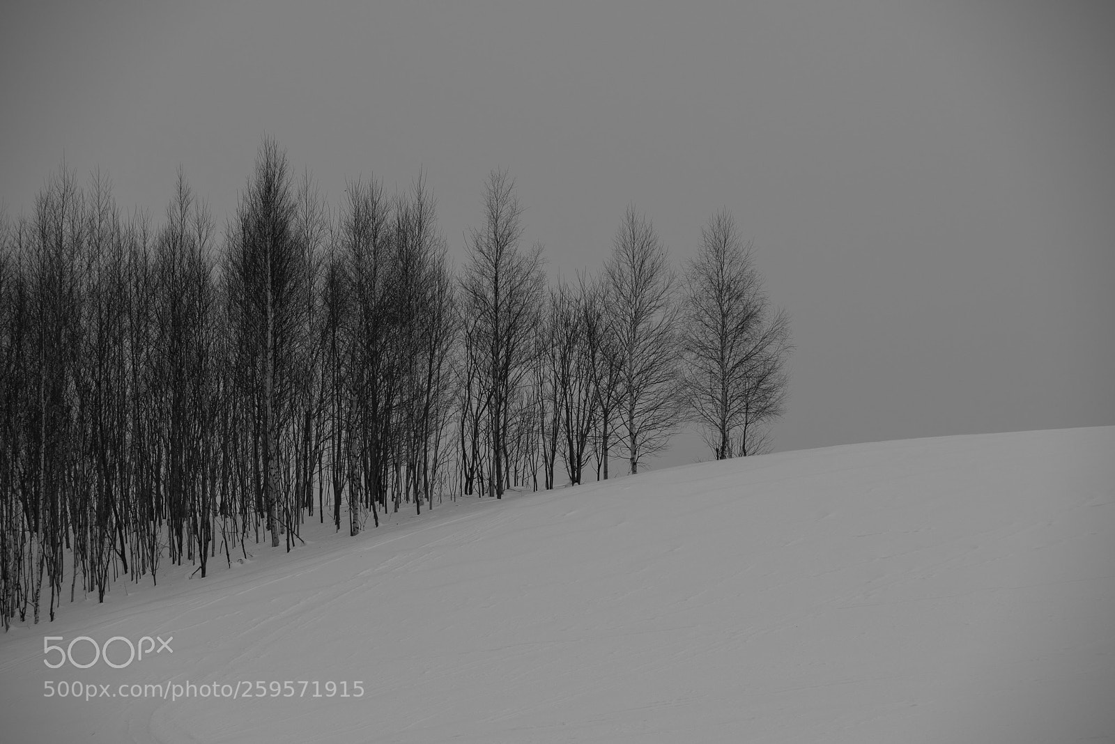 Nikon D810 sample photo. Biei, hokkaido photography