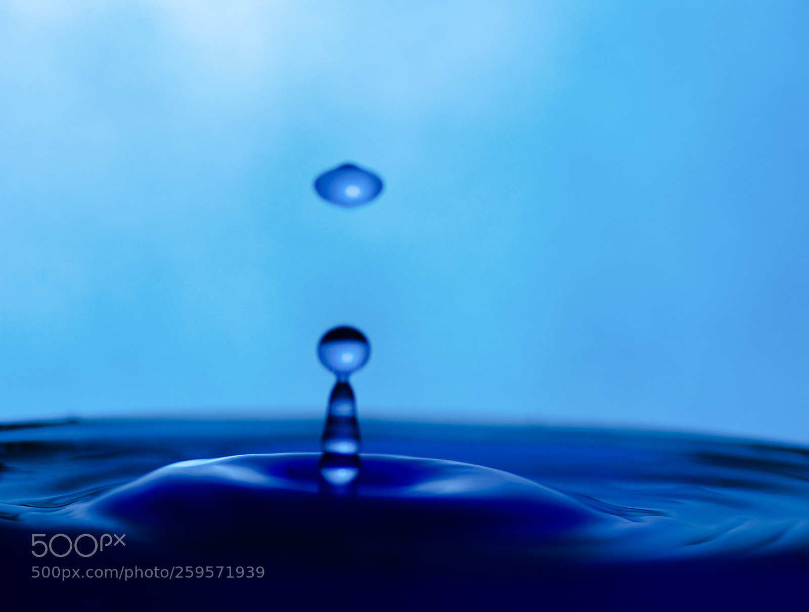 Nikon D7200 sample photo. Untitled photography