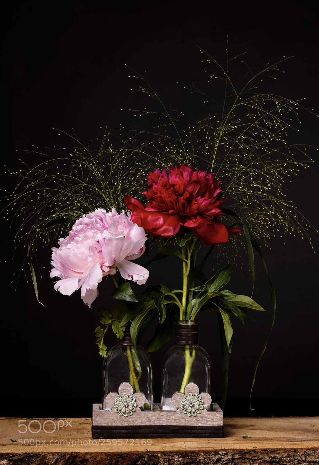 Nikon D500 sample photo. Untitled photography