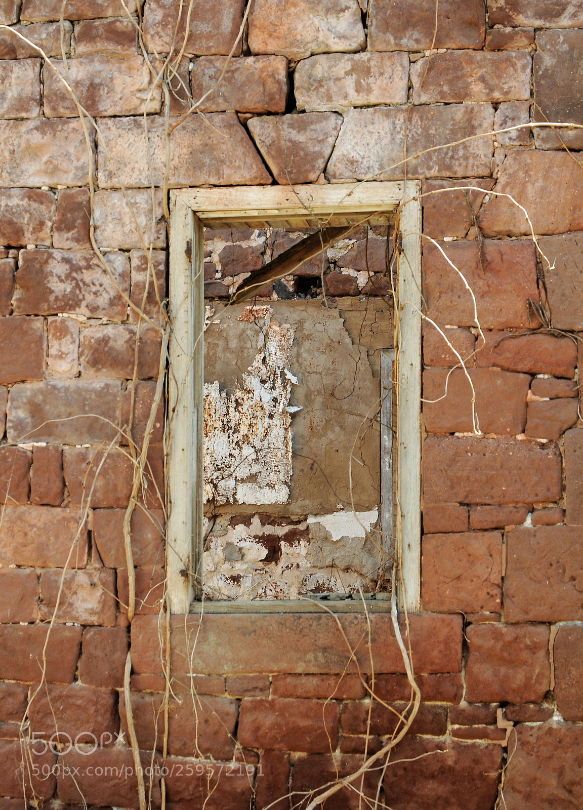 Nikon D300 sample photo. Old window photography