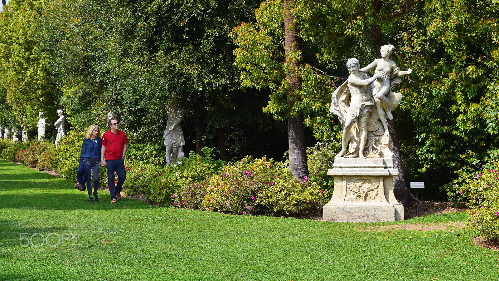 Nikon D5300 sample photo. A stroll on the green photography