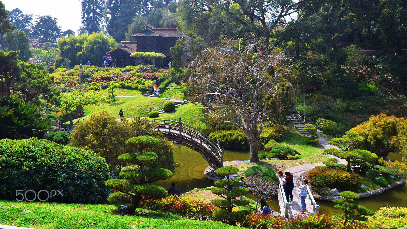 Nikon D5300 sample photo. Japanese garden photography