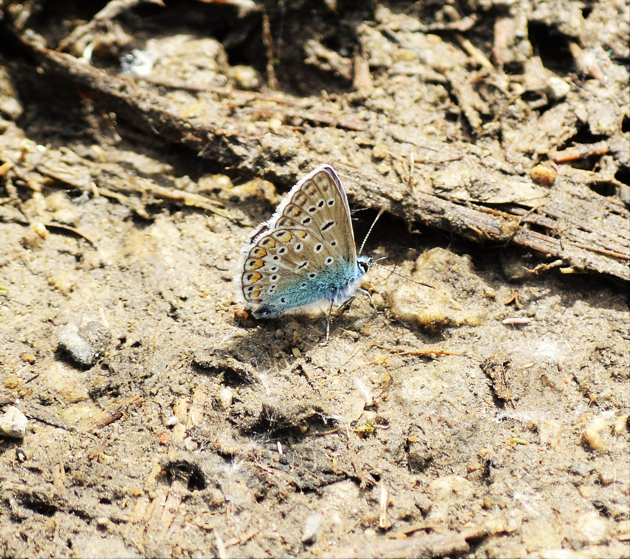 Nikon D3200 sample photo