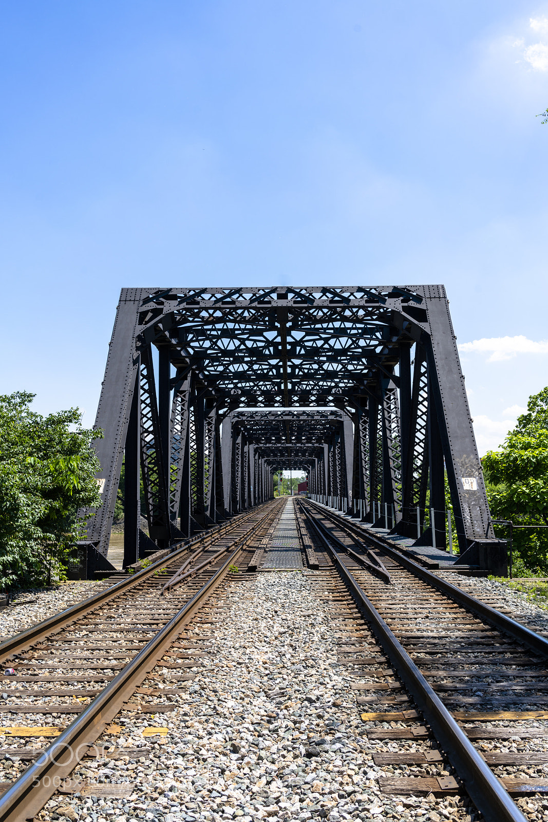 Sony a7R III sample photo. Idb photography