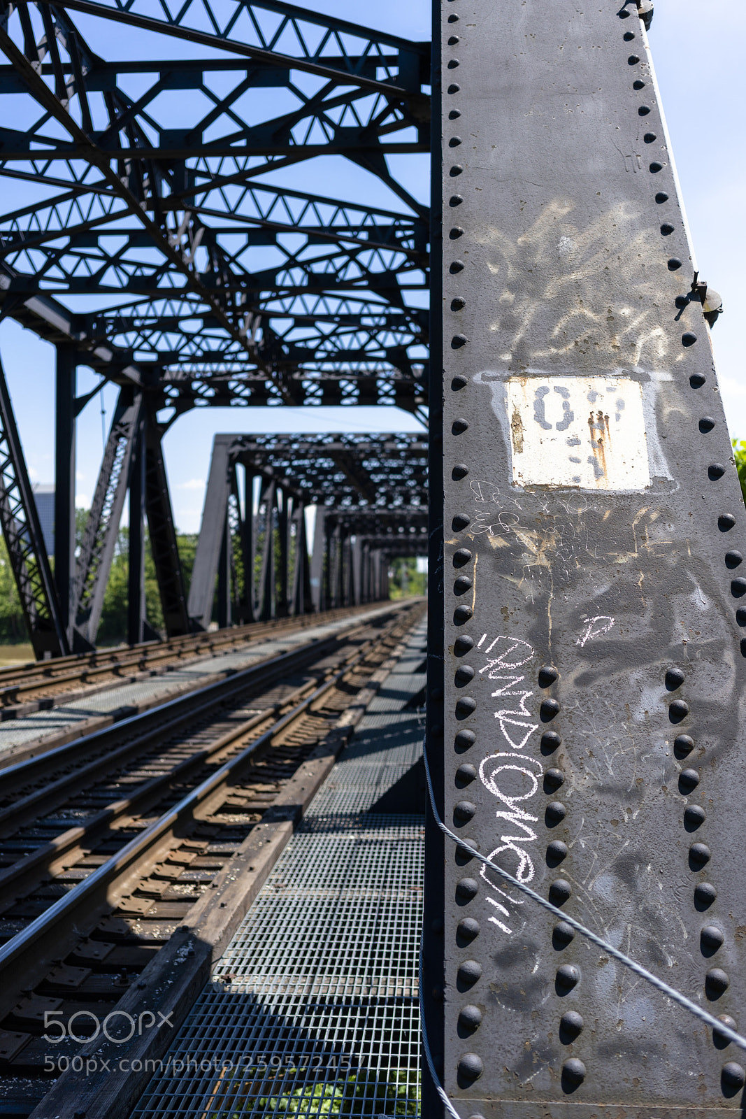 Sony a7R III sample photo. Idb photography