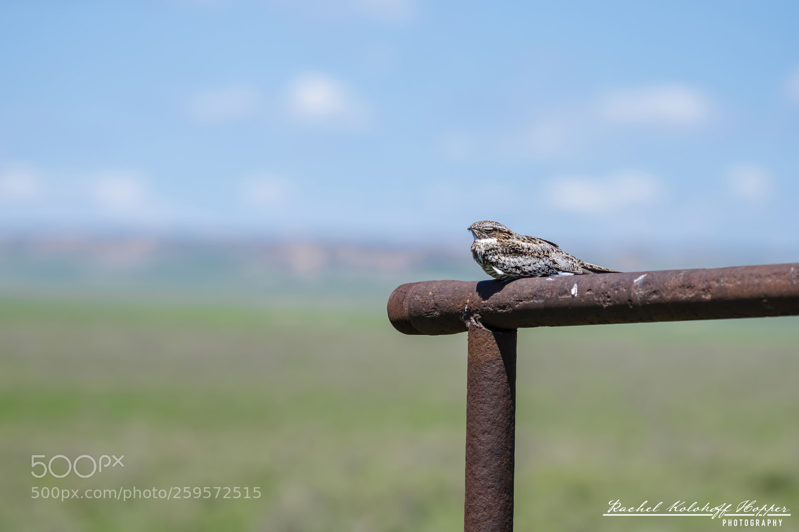 Nikon D810 sample photo. On the pawnee grasslands photography