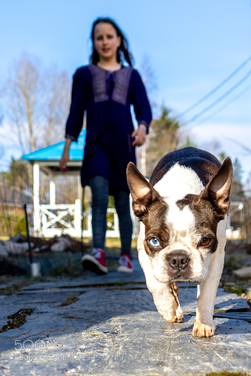 Sony a7 II sample photo. 111/365: walking photography