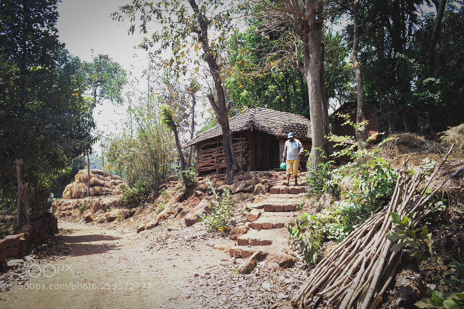 Nikon D3200 sample photo. A rural life moment photography