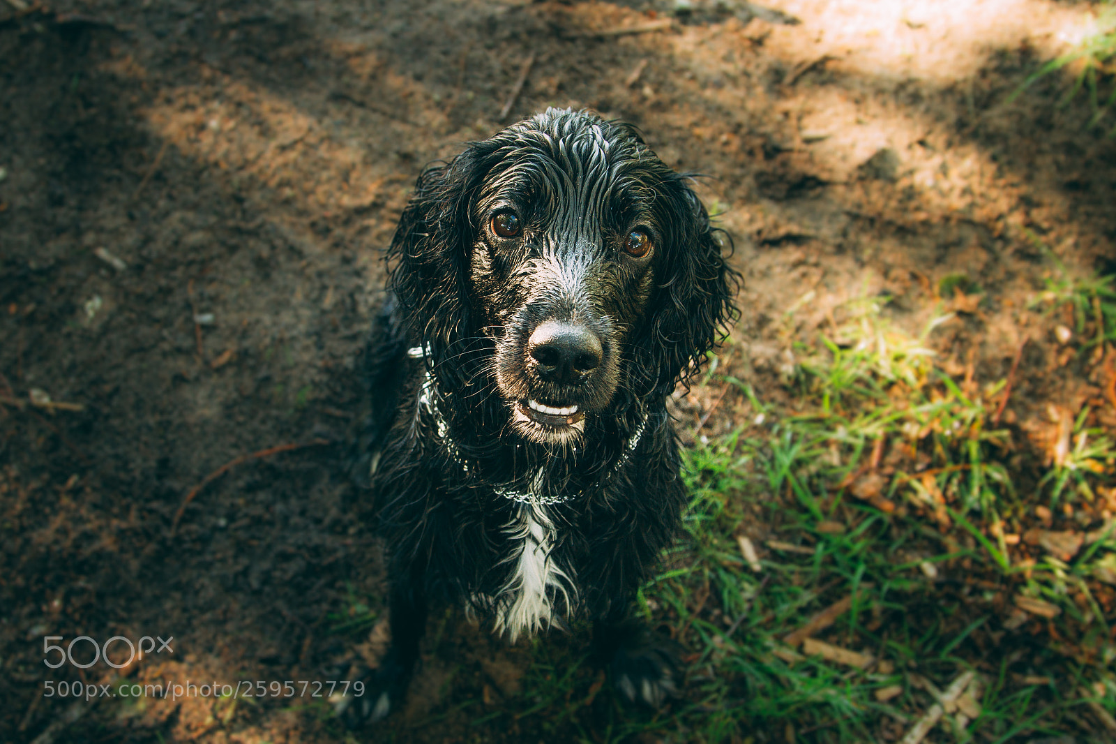 Canon EOS 7D sample photo. Wet jack photography