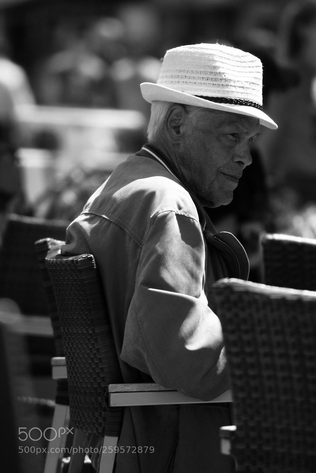 Nikon D3000 sample photo. Untitled photography