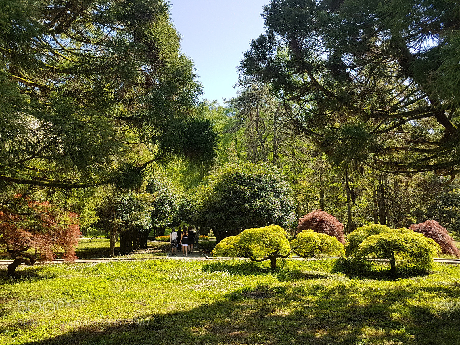 Samsung Galaxy S7 Edge sample photo. Untitled photography