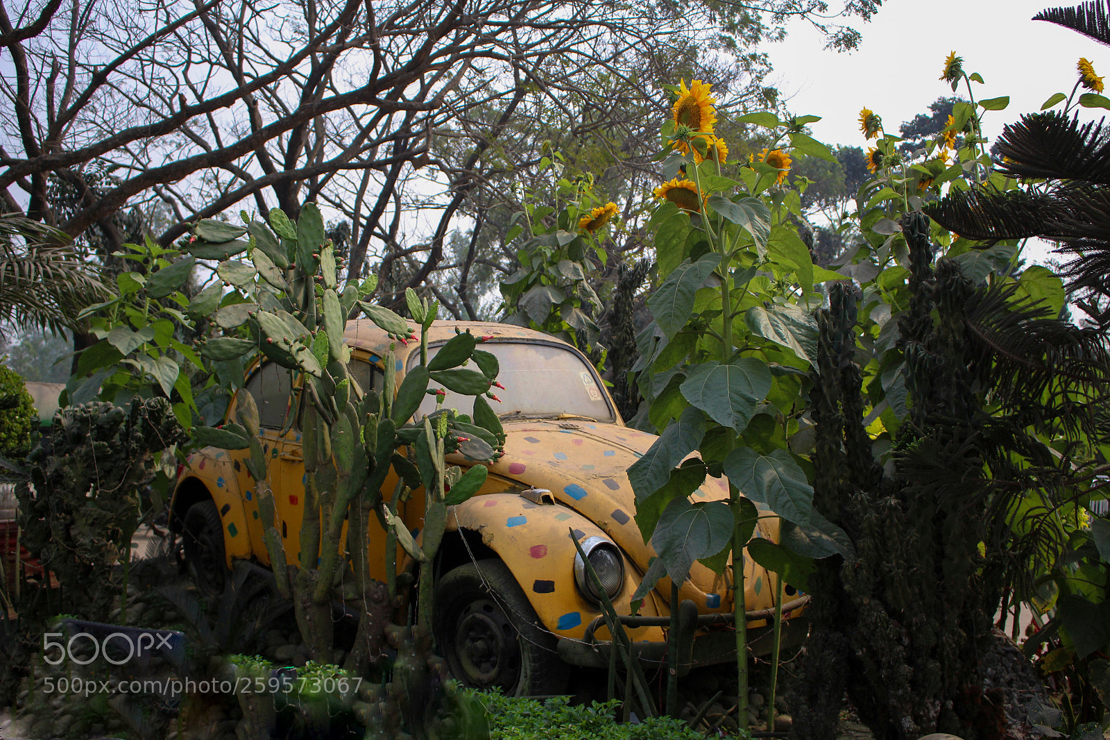 Canon EOS 700D (EOS Rebel T5i / EOS Kiss X7i) sample photo. Untitled photography
