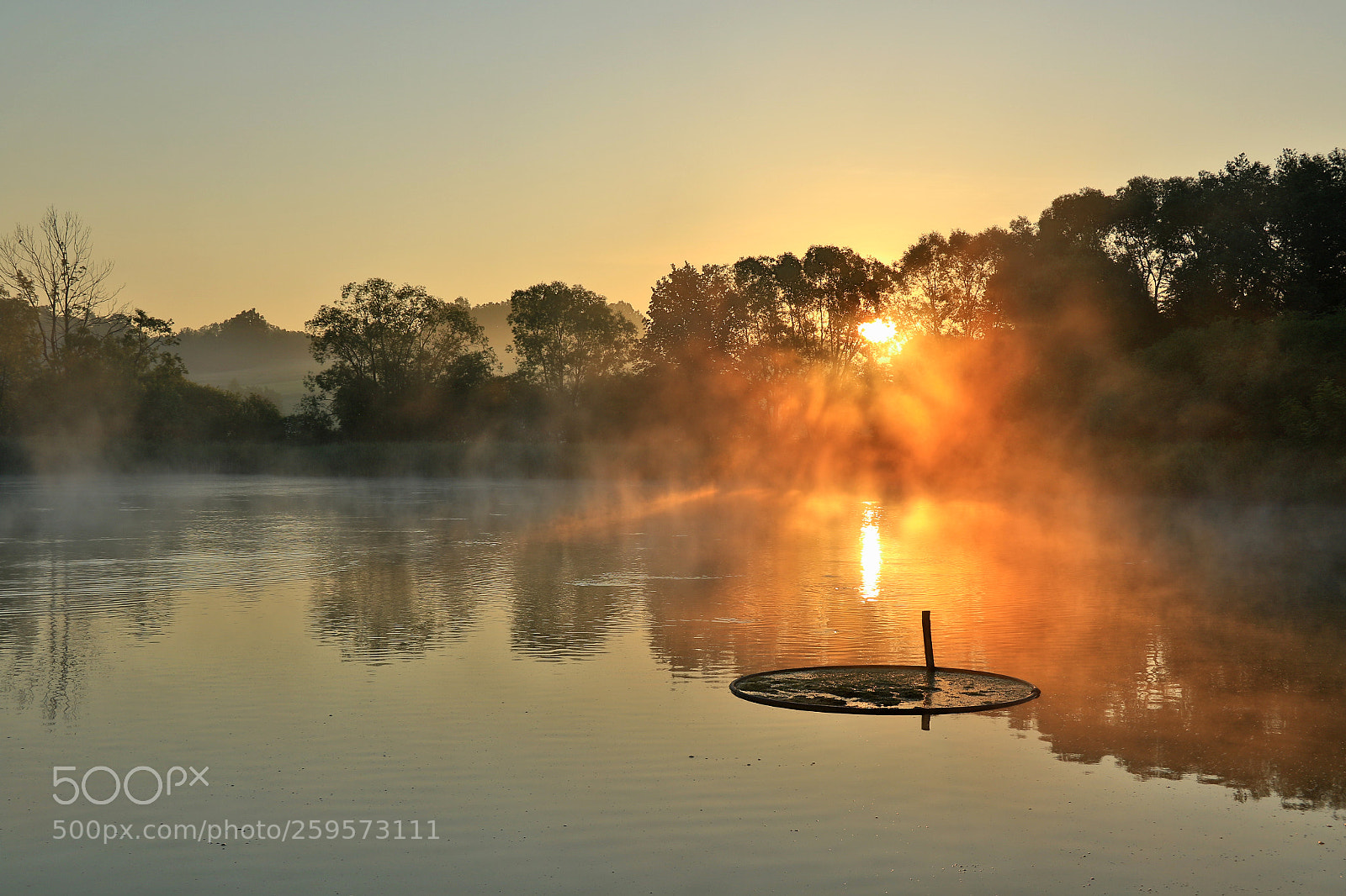 Canon EOS 7D Mark II sample photo. Misty sunrise photography