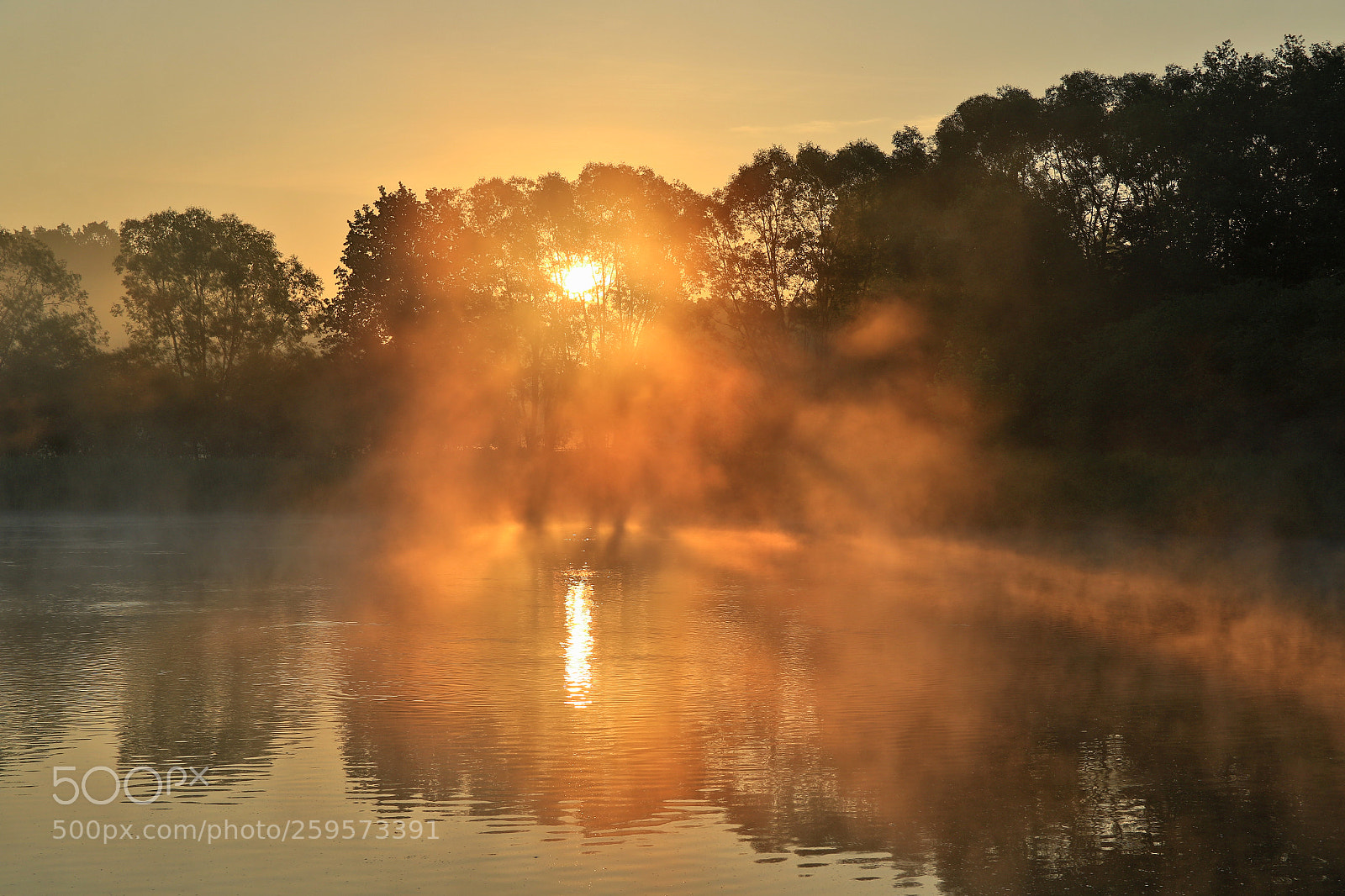 Canon EOS 7D Mark II sample photo. Misty sunrise photography