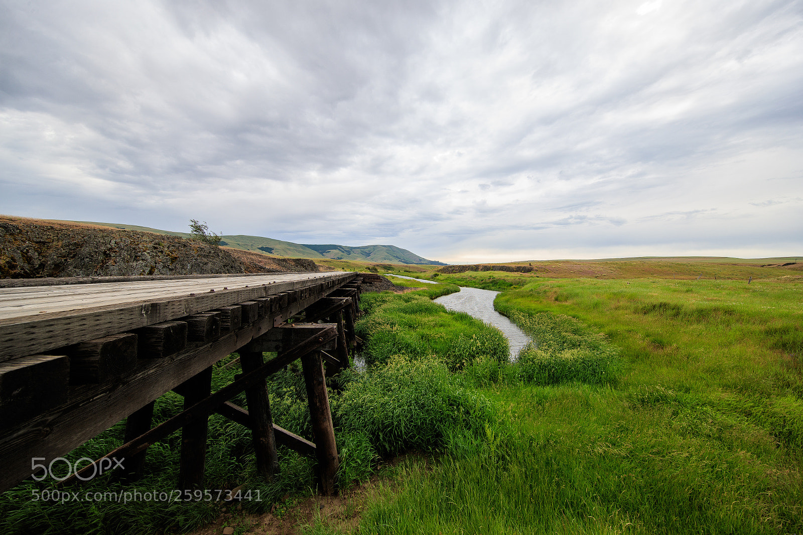 Canon EOS-1D X Mark II sample photo. Somewhere, wa photography