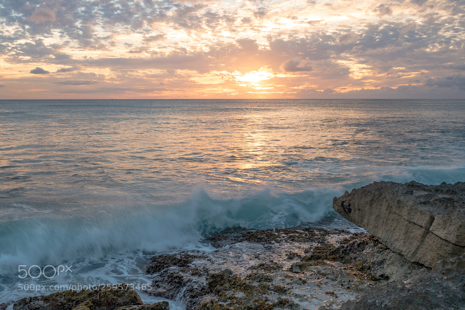 Olympus OM-D E-M5 II sample photo. Ko olina nights photography