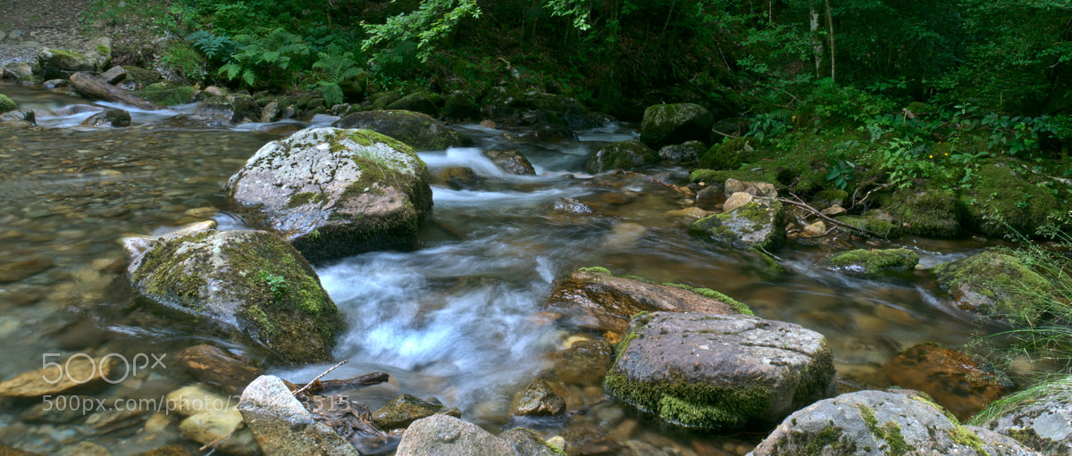 Nikon D300 sample photo. Mountain stream photography
