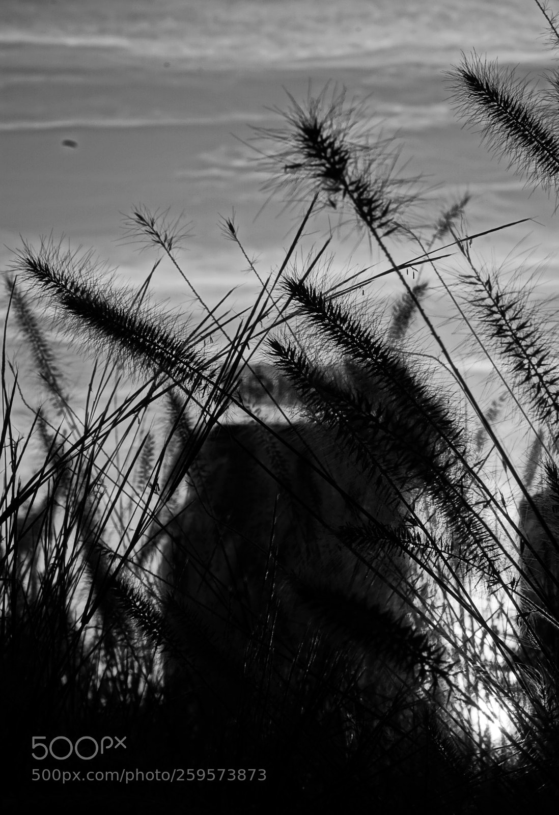 Sony a6000 sample photo. When day is done #4 photography