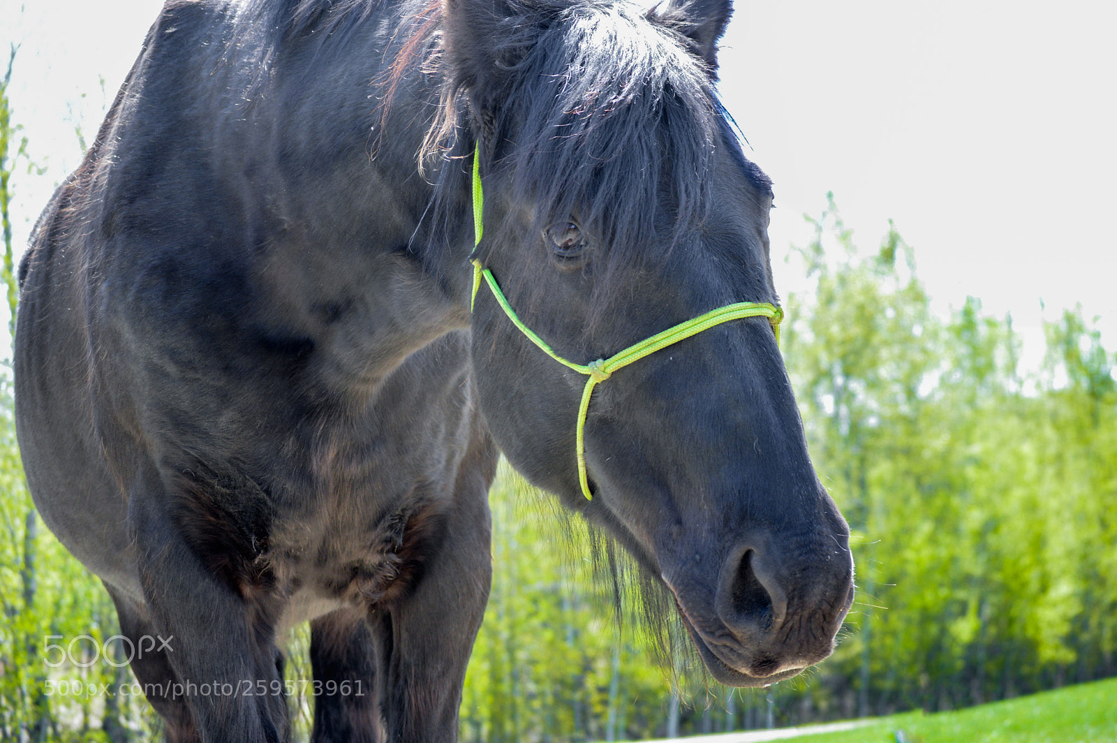Nikon D3200 sample photo. I see you photography