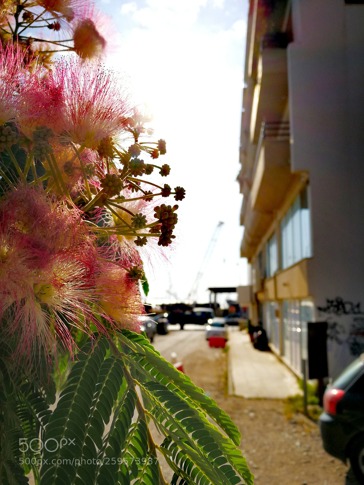 HUAWEI Mate 9 sample photo. Spring produce photography