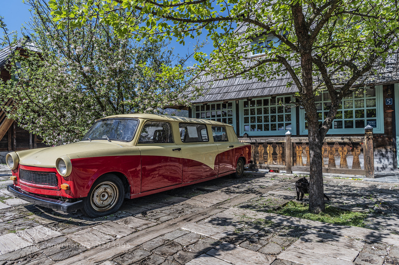 Nikon D850 sample photo. Emir kusturica photography