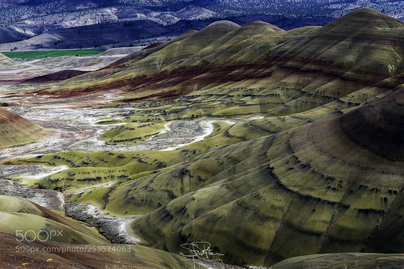 Sony a7 II sample photo. Painted hills colors photography