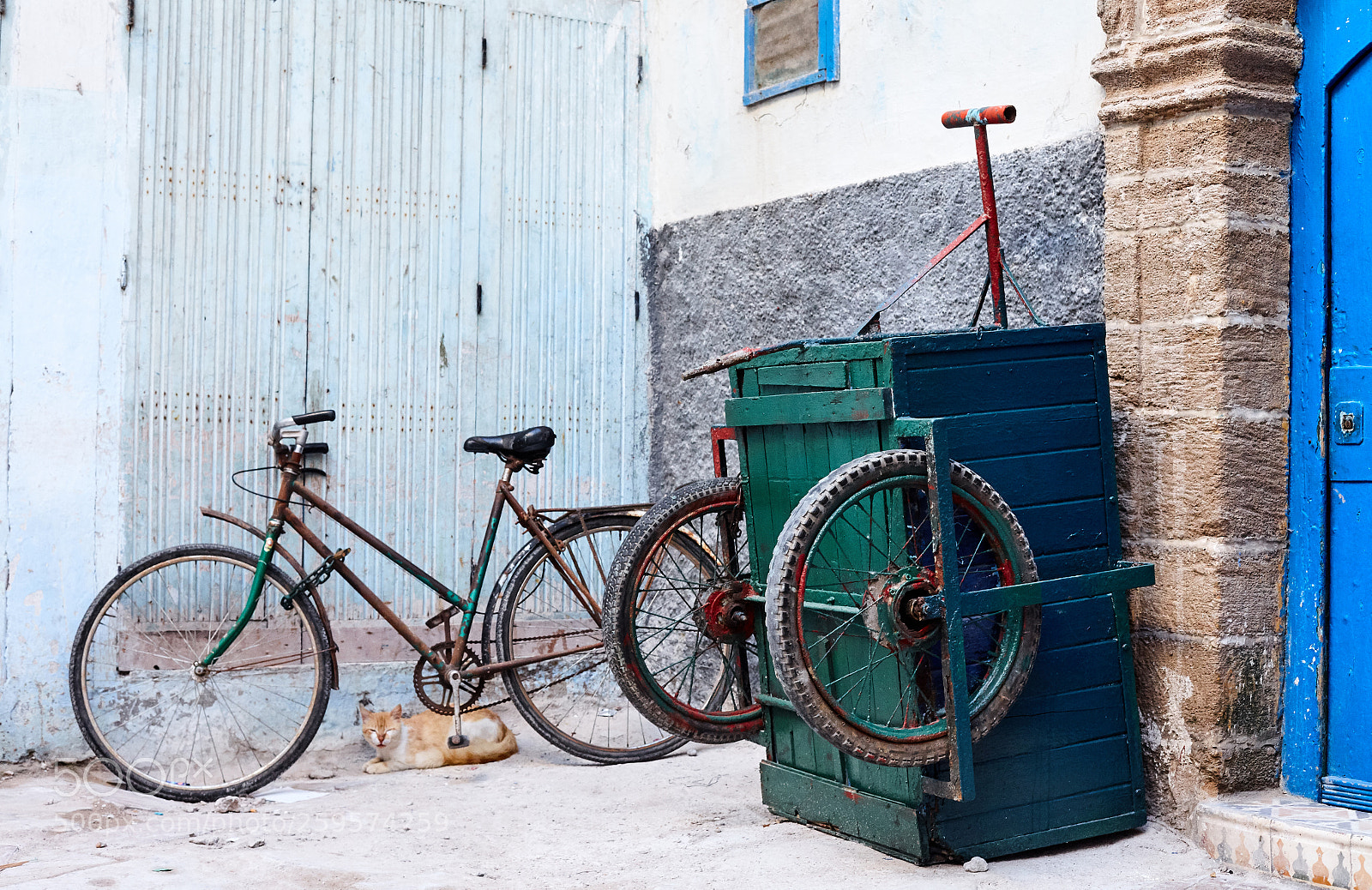 Canon EOS 5D Mark II sample photo. Untitled photography