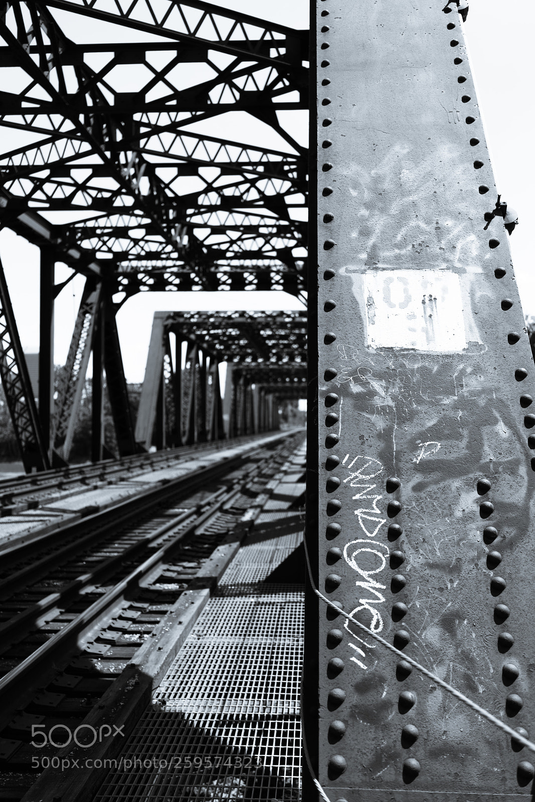 Sony a7R III sample photo. Suspension bridge b&w photography