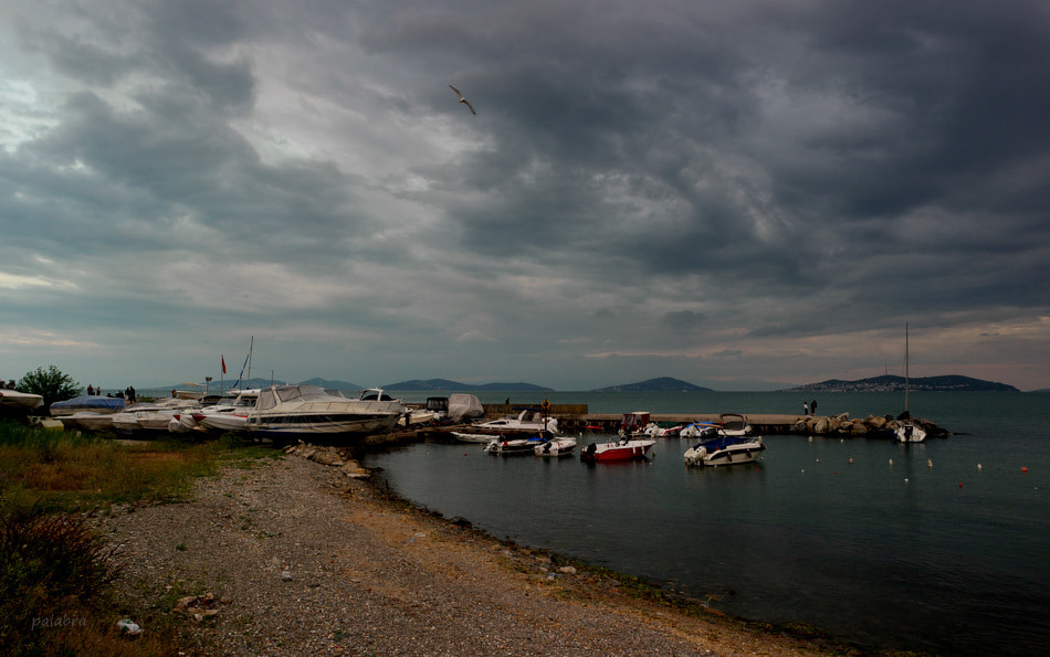 Samsung NX1 sample photo. ... photography