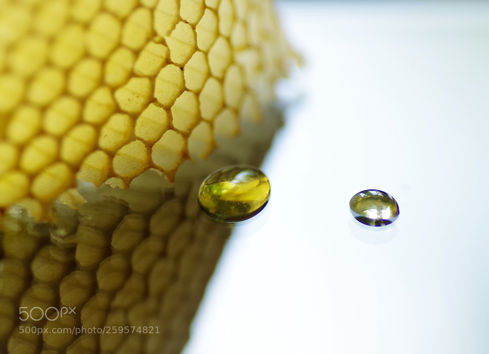 Pentax K-30 sample photo. Honey and honeycomb photography