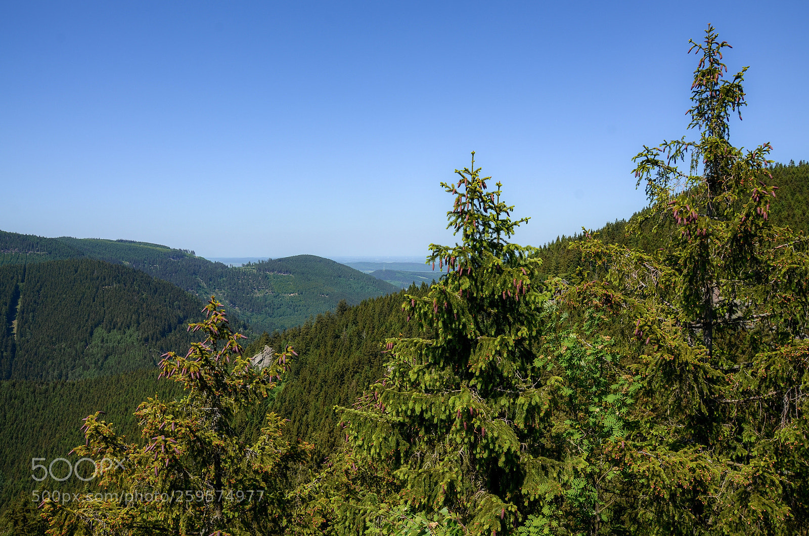Nikon D7000 sample photo. Mountains in harz  photography