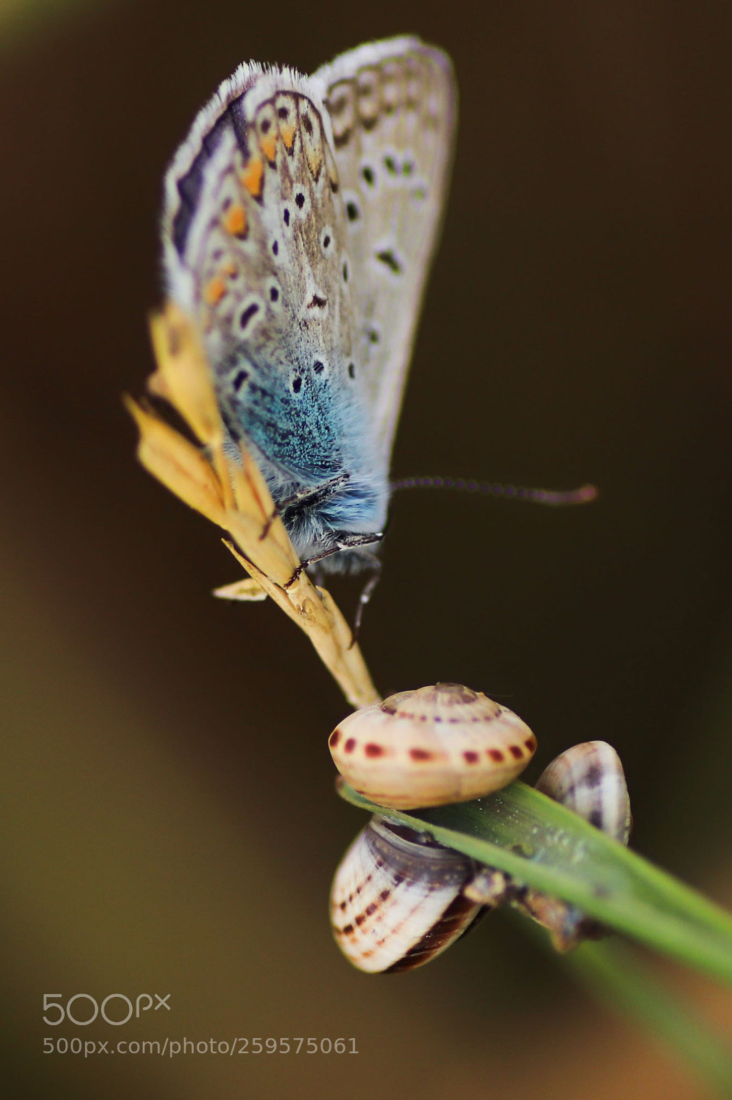 Canon EOS 77D (EOS 9000D / EOS 770D) sample photo. Untitled photography