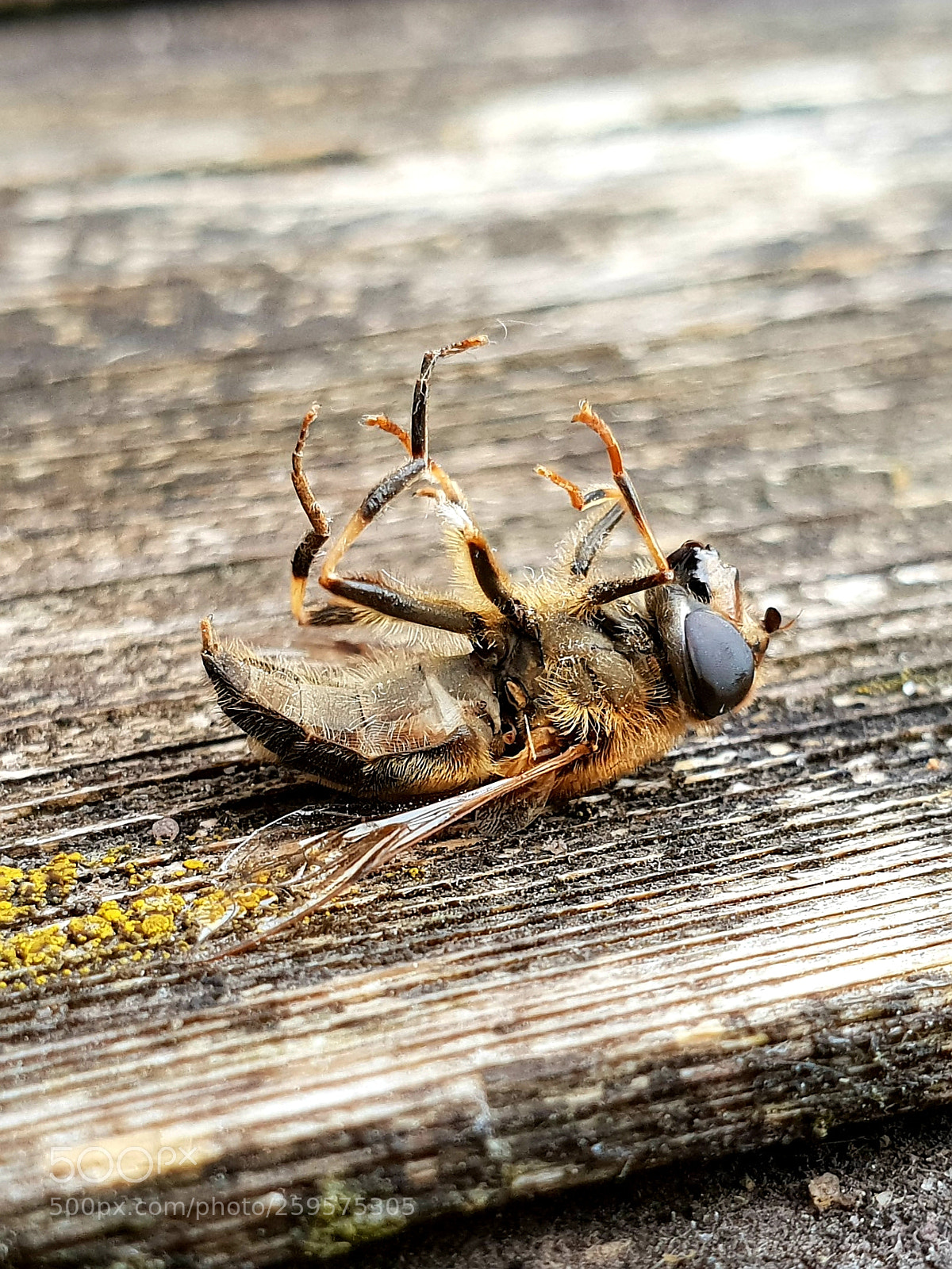 Samsung Galaxy S9 sample photo. The end, part ii photography