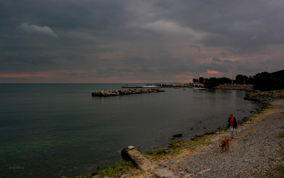 Samsung NX1 sample photo. ... photography