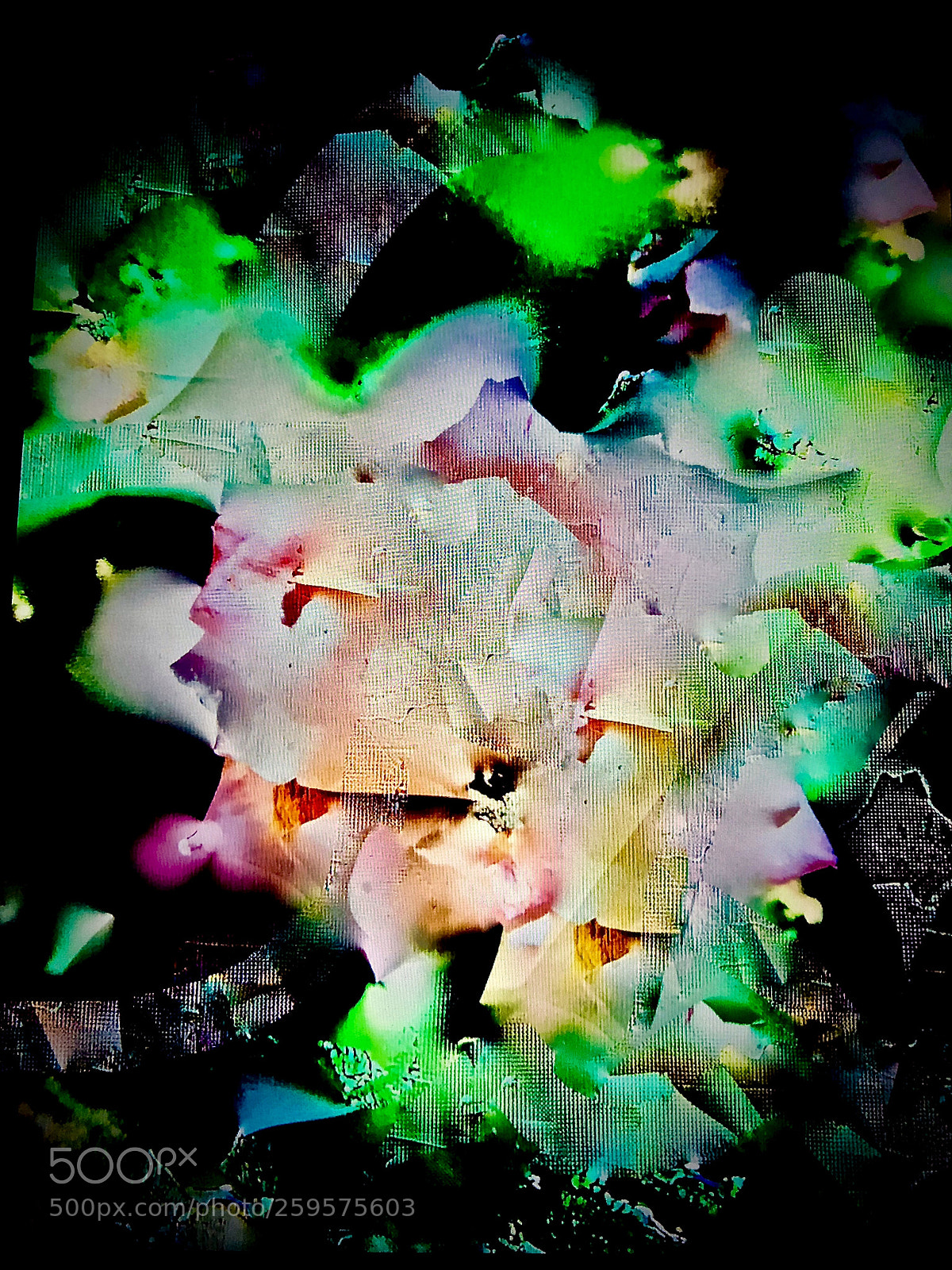 Apple iPhone X sample photo. Abuse... photography