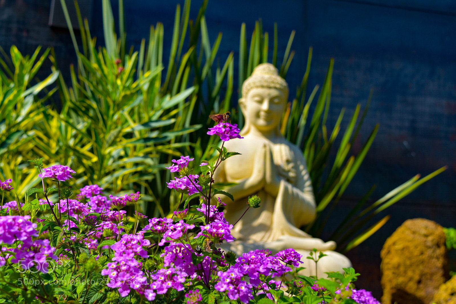 Nikon D5500 sample photo. Untitled photography