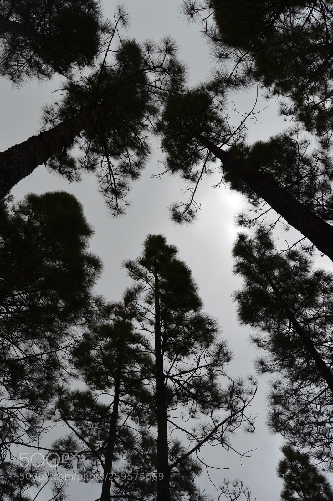 Nikon D3200 sample photo. Amazing nature photography