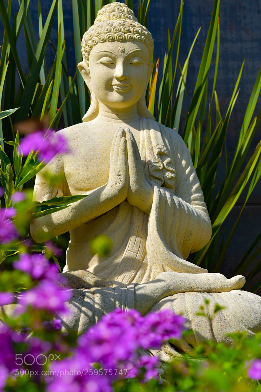 Nikon D5500 sample photo. Untitled photography