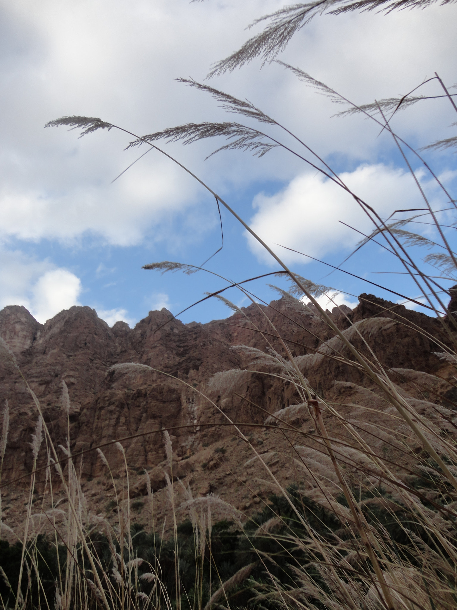 Sony Cyber-shot DSC-W570 sample photo. Oman photography